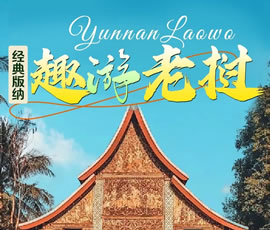 【趣游老撾 · 經(jīng)典版納】—昆明、普洱、西雙版納、磨丁、瑯勃拉邦四動8日游